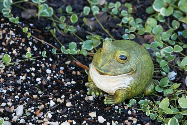 Frog Outdoor Statue