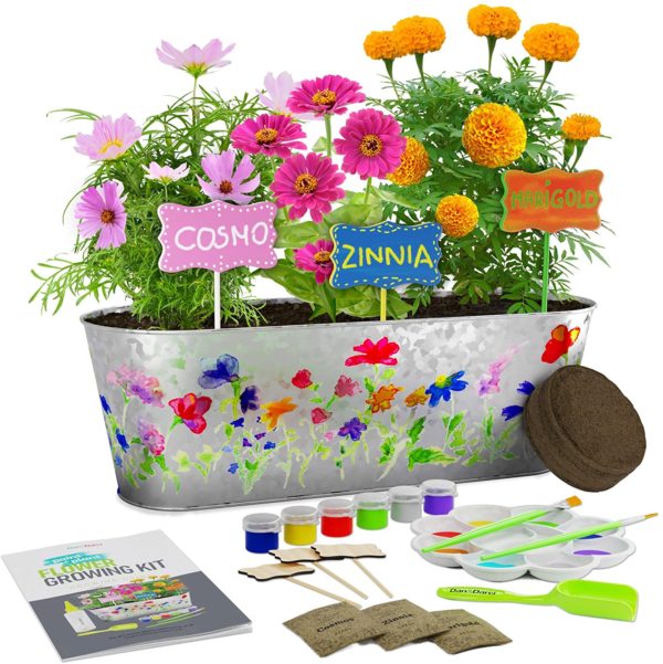 Paint & Plant Kit