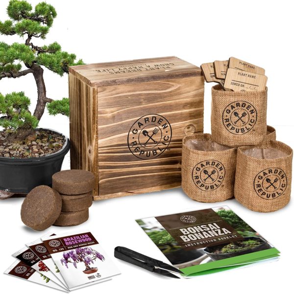 Bonsai Seed Kit