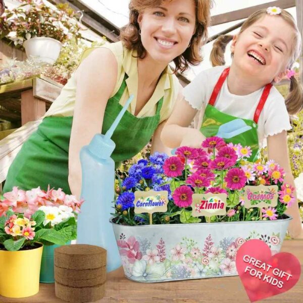 Paint and Plant Flower Growing Kit