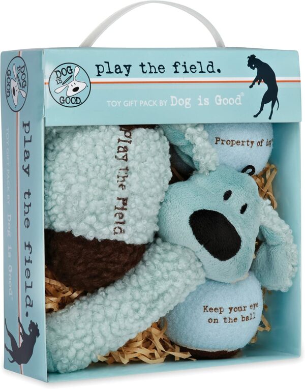 Dog Toy Gift Box