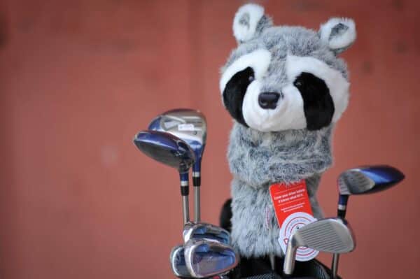 Raccoon Golf-Club Headcover